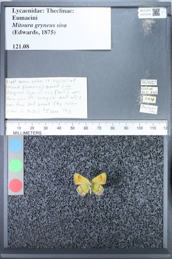 Media type: image;   Entomology 72576